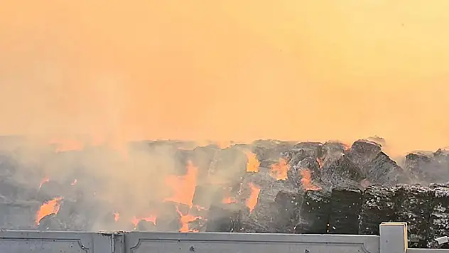 Aydın'da kağıt fabrikasındaki yangın 4'üncü gününde

