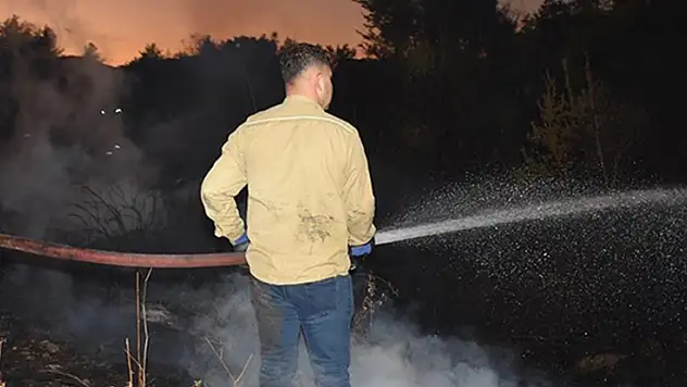Aydın'da ormanlık ve zeytinlik alanda çıkan yangın kontrol altına alındı