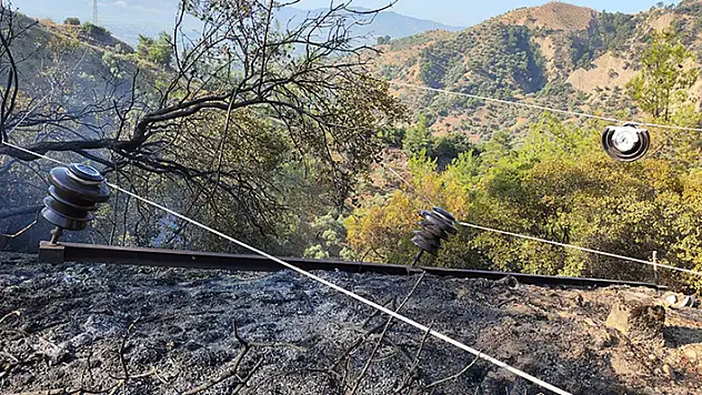Aydın'da ormanlık ve zeytinlik alandaki yangın kontrol altına alındı
