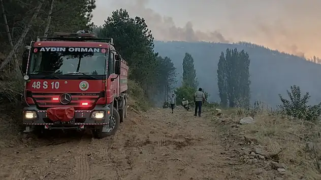 Aydın'ın Karacasu ilçesindeki orman yangını devam ediyor! İşte müdahalede son durum