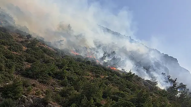 Aydın'ın Söke ilçesinde orman ve makilik alanda yangın çıktı
