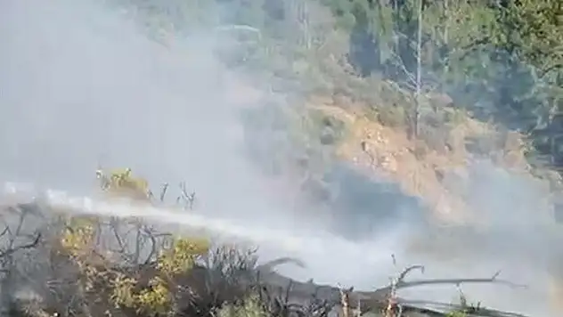 Aydın ve Muğla'daki orman yangınları söndürüldü