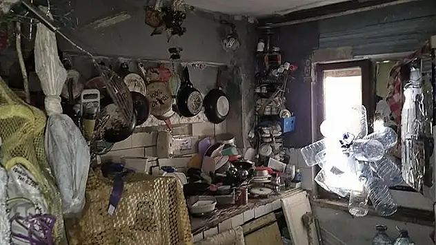 Aydın'da bir evden 4 kamyon çöp ile 12 kedi ve 3 kaplumbağa çıktı