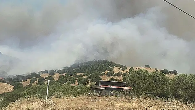 Aydın'da orman yangını kontrol altında 320 hektar alan zarar gördü