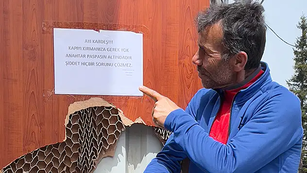Ayı saldırılarından bıktı, çareyi ayıya not yazmakta buldu
