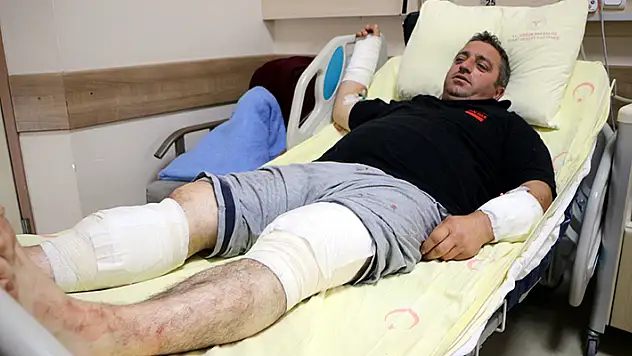 Ayı saldırısı sonrası konuşan Tokatlı çiftçi: Siz bir de ayıyı görün, daha perişan