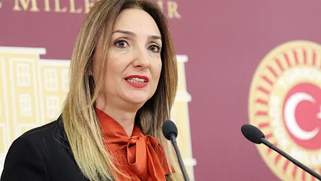 Aylin Nazlıaka kesin ihraç istemiyle disipline sevk edildi