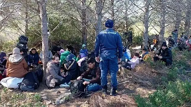Ayvalık'ta 75 düzensiz göçmen yakalandı
