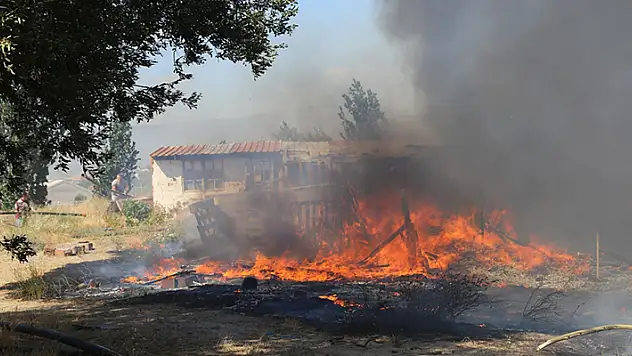 Ayvalık'ta çöplükte çıkıp otluk ve zeytinliğe sıçrayan yangın, 4 saatte söndürüldü
