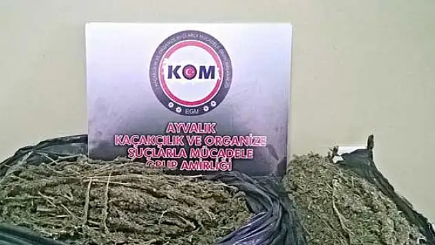 Ayvalık'ta uyuşturucu operasyonu