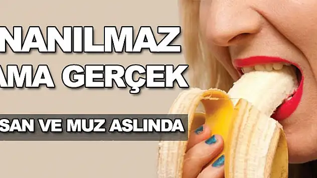 Az bilinen, birbirinden ilginç bilgiler