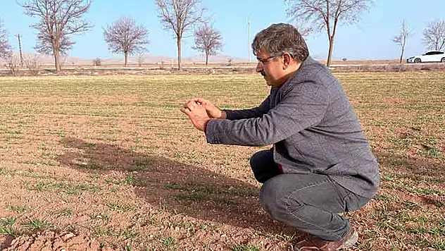 Kuraklığa karşı sorgum hamlesi