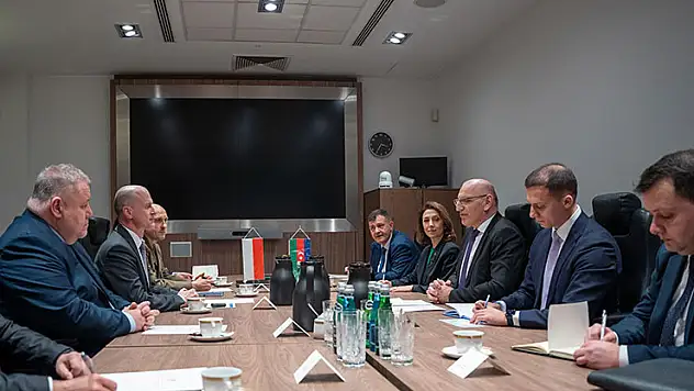 Azerbaycan, Polonya'yı AB ve NATO'da güvenilir ortaklarından biri olarak görüyor