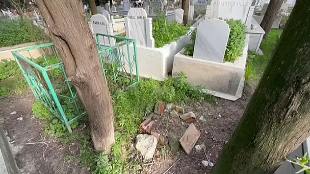 Babalarının kardeşlerini döverek öldürdüğünü ihbar etmişlerdi: Bugün yaşıyor olmamız tesadüf

