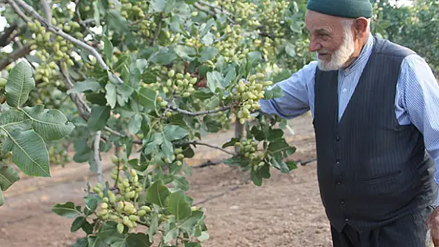 Babasının Bir Sözünü Dinledi, Her Yıl Bir Kilo Altın Alıyor
