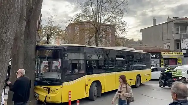Bağcılar'da İETT otobüsü ağaca çarptı