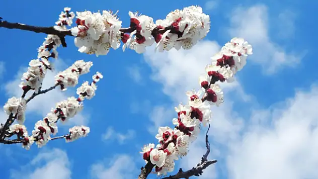 Baharın başlangıcı kabul edilen bayram: Nevruz