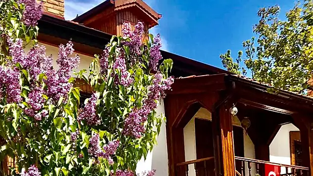 Baharın müjdecisi erguvanlar Konya'nın tarihi mekanlarına güzellik katıyor