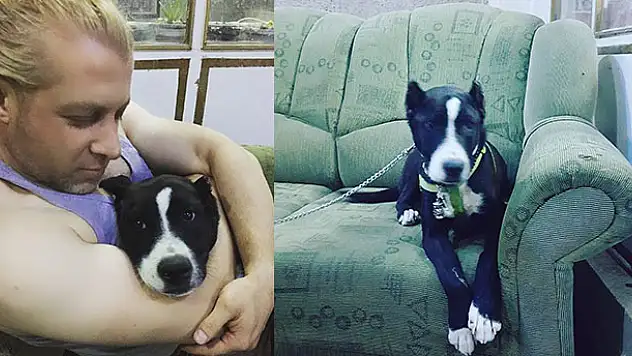 Bahçedeki köpeği önce sevdi, sonra çaldı