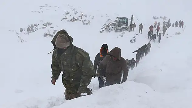 Bahçesaray'da çığ düşmesi olayında 3 müfettiş görevlendirildi
