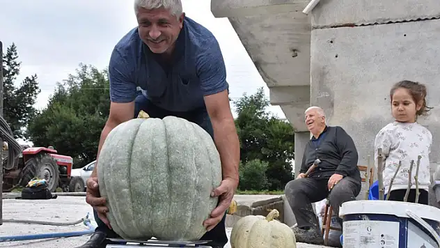 Bahçesinde 50 kiloluk bal kabağı yetiştirdi
