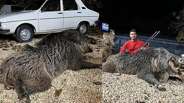 Bahçesine zarar verip, köpeğine saldırdığını söylediği 397 kiloluk domuzu öldürdü 