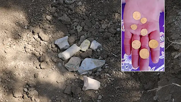 Bahçesini çapalayan çiftçinin pulluğuna takılan küpten Bizans dönemi sikkeleri çıktı
