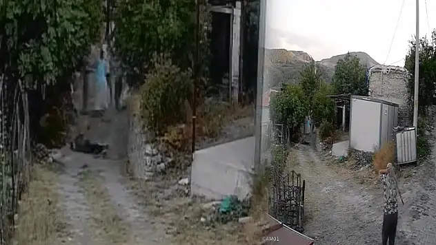 Bahçeye giren koyunlar nedeniyle işlenen cinayetin görüntüleri dehşete düşürdü