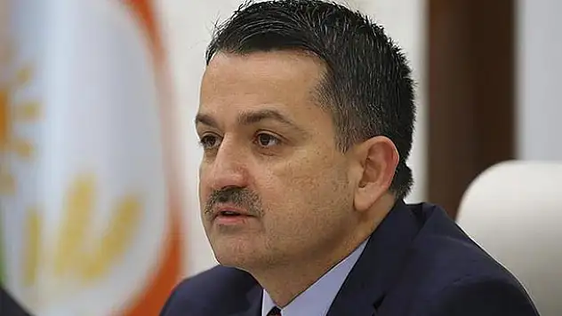 Bakan açıkladı! O ödemeler yarın yapılacak