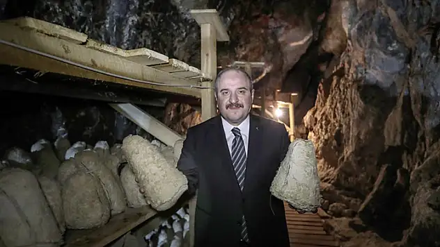 Bakan Varank, Divle Obruk Peyniri'nin üretildiği mağarayı gezdi