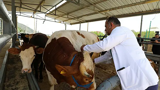 Bakan Yumaklı: 3 kesimhanenin onayı iptal edilerek faaliyeti sonlandırıldı
