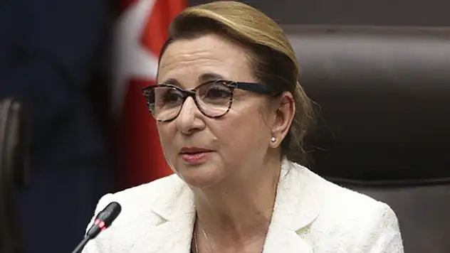 Bakandan müjde! Devlet 200 milyon dolar verecek