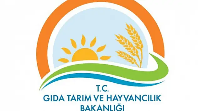 Bakanlık, 173 firmaya ait hileli ürünleri açıkladı