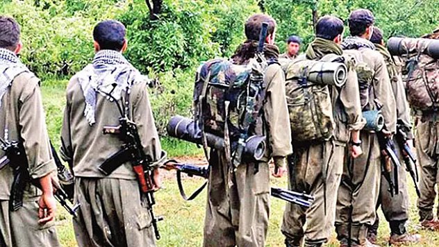 Bakanlık açıkladı: PKK'ya ağır darbe
