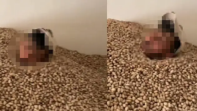 Bakanlıktan açıklama geldi! Fıstıklara el konuldu 