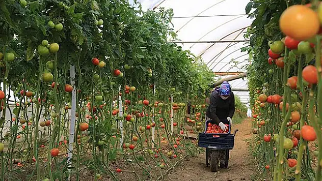 Bakanlıktan tarladaki çiftçiye Kovid-19 uyarısı