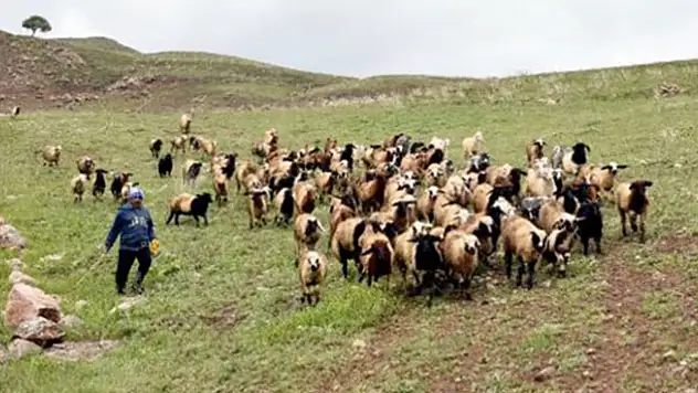 Bakanlıktan yaylacılara erzak uyarısı