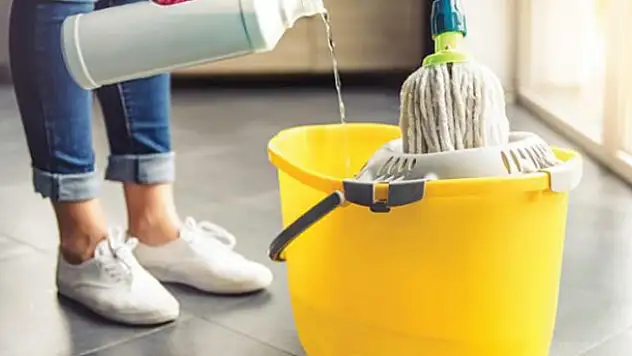 Bakıcıya her ay 700 TL devletten