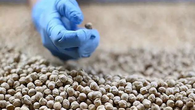 Bakliyatı 'güneş ışığı almayan yerlerde saklayın' önerisi