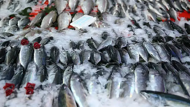 Balıkçı tezgahları şenlendi
