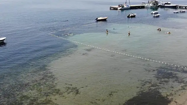 Balıkesir'de deniz çayırlarını söken iş makinesi operatörüne 774 bin lira ceza
