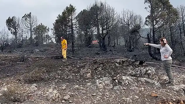 Balıkesir'deki orman yangını havadan müdahale yeniden başladı
