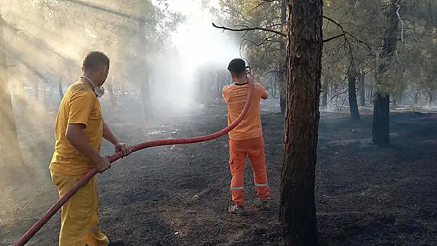 Balıkesir'deki orman yangını kontrol altına alındı
