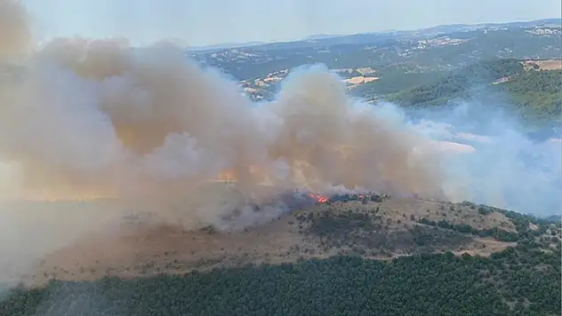 Balıkesir'in Altıeylül ilçesinde orman yangını çıktı
