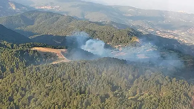 Balıkesir İvrindi'de çıkan orman yangını kontrol altına alındı
