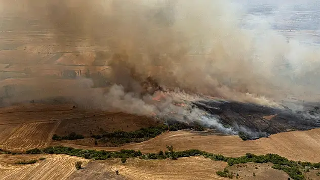 Balıkesir Kepsut'ta arazi yangını