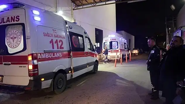 Balon balığı yiyen 7 kişi hastanelik oldu
