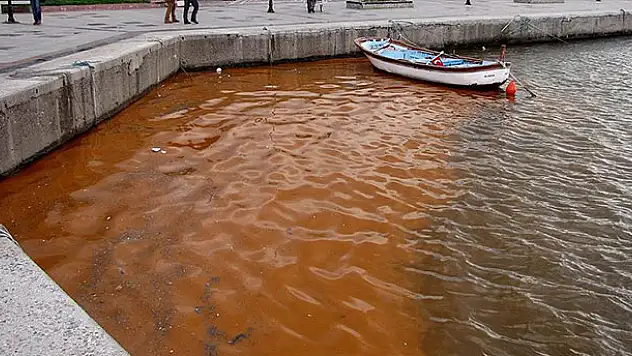 Bandırma'da deniz kırmızıya büründü