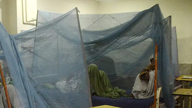 Bangladeş'te dang hummasından ölenlerin sayısı 300'ü aştı
