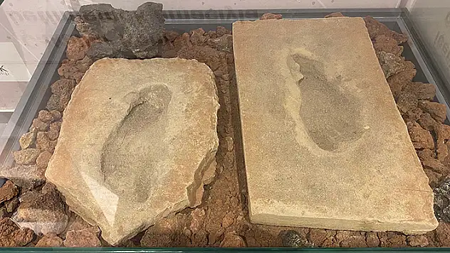 Baraj yapımında keşfedilen 4 bin 500 yıllık fosil ayak izleri, müzede sergileniyor